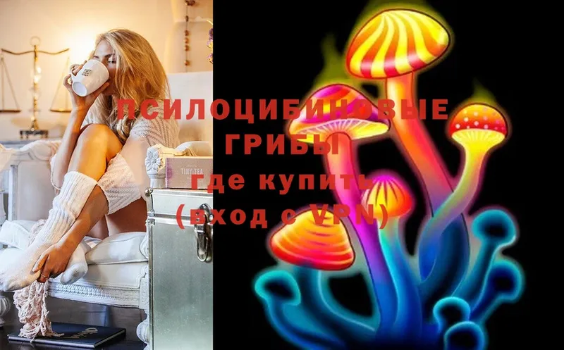 что такое   Байкальск  это как зайти  Псилоцибиновые грибы Cubensis 